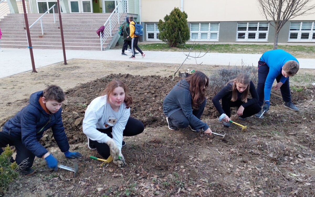 Učenička zadruga Đurđica – Sekcija za rad s biljkama uređuje okoliš škole
